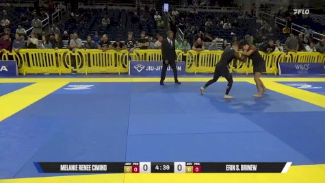 Erin S. Brinew vs Melanie Renee Cimino 2025 Pan IBJJF Jiu-Jitsu No-Gi Championship