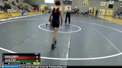 119 lbs Cons. Semi - Lucas Starck, West Anchorage vs Louie Flint, Eagle River High School