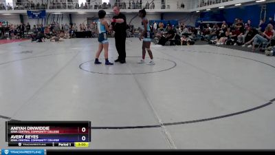 123 lbs Semifinal - Avery Reyes, Iowa Central Community College vs Aniyah Dinwiddie, Iowa Central Community College