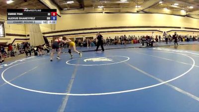 145 lbs Champ. Round 2 - Emrie Fink, Hiram College vs Alexus Shaneyfelt, Siena Heights University
