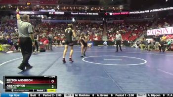 2A-138 lbs Cons. Round 3 - Aiden Hippen, Clear Lake vs Peyton Anderson, NH/TV