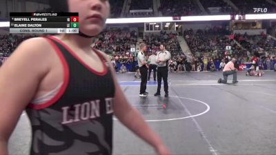 110 lbs Cons. Round 1 - Breyell Perales, Iron Grapplers vs Elaine Dalton, Lion Elite