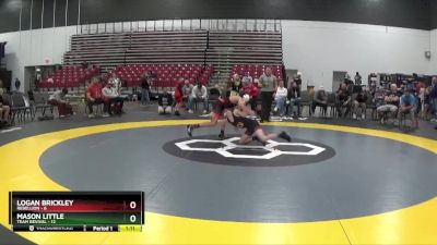 85 lbs Placement Matches (8 Team) - Mason Little, Team Revival vs Logan Brickley, Rebellion