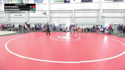 139 lbs Round Of 16 - Dylan Newman, NY vs Ian Fitzsimmons, PA
