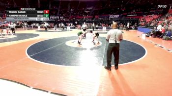 2A 132 lbs Quarterfinal - Nathan Randle, Crystal Lake (South) vs Tommy Banas, New Lenox (Providence Catholic)