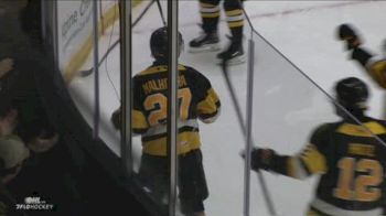 Caleb Malhotra Scores His Eighth Of The Playoffs In Game 2