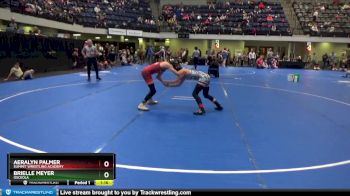 100 lbs Round 1 - Aeralyn Palmer, Summit Wrestling Academy vs Brielle Meyer, Osceola