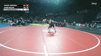 6A Boys 175 lbs Cons. Round 3 - Dakota Anderegg, Nelson Boys vs Ryder Nelson, West Salem Boys