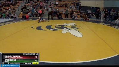 65 lbs Cons. Semi - Cason Zens, Lennox vs Kamden Gallus, Pursuit Wrestling Minnesota