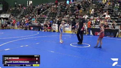 63 lbs Quarterfinal - Tye Heysinger, IA vs William (Liam) Ferguson, GA