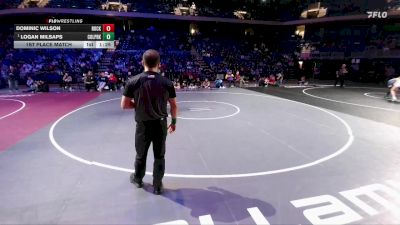 6A 150 lbs 1st Place Match - Logan Milsaps, Conroe Woodlands College Park vs Dominic Wilson, Rockwall