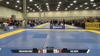 Froilan Mena Gomez vs Paul Askew 2025 World Master IBJJF Jiu-Jitsu Championship