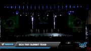 BCA Tiny Summit Team [2022 Tiny - Jazz - Small Day 3] 2022 CSG Schaumburg Dance Grand Nationals