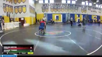 126 lbs Quarterfinal - Giulian Mestre, Gateway vs Dominic Torres, Poinciana