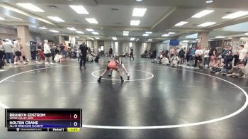 88 lbs Round 5 - Brand`n Edstrom, Upper Valley Aces vs Holten Crane, All In Wrestling Academy