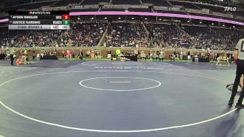 D3-106 lbs Cons. Round 3 - Ayden Ringler, Grand Rapids Catholic Central vs Justice Harding, Williamston