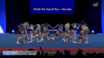 Florida Top Dog All Stars - Miss Mist [2026 L4 Junior - Flex - Small Semis] 2026 The Summit