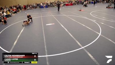 48-51 lbs Cons. Round 1 - Caiden Luster, Minnesota vs Colton Weinbrenner, Rogers Area Youth Wrestling