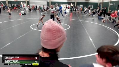 46 lbs Cons. Round 2 - Everett Codr, Seward Wrestling Club vs Tripp Sheldon, Plains Elite