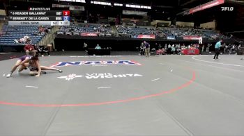 138 lbs Cons. Semi - 6 Reagen Gallaway, Hastings vs Serenity De La Garza, Missouri Valley