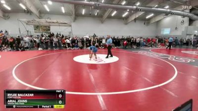 110 lbs Quarterfinal - Arial Johns, Woodland Park vs Rylee Balcazar, Fort Lupton