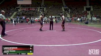 220 lbs Semifinal - Lance Peterson, Smiths Station Hs vs Jacob Wilson, Baker HS