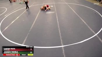 132 lbs Cons. Round 4 - Andrew Trimble, Rochester Wrestling Club vs Carter Pesta, Minnesota