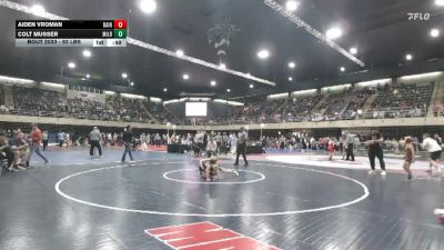 93 lbs Consolation - Aiden Vroman, Bainbridge vs Colt Musser, Milroy