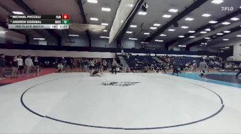 174 lbs 3rd Place Match - Michael Fuccilli, Franklin And Marshall vs Andrew Kozubal, Messiah