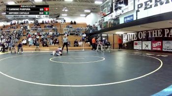 120 lbs Quarterfinal - Antonio Catullo, Boardman vs Carmine Purpura, North Ridgeville