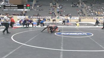215 lbs Quarterfinal - Galvin Stephens, Male vs Thorin Johnson, Wayne County