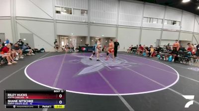 220 lbs Round 5 (6 Team) - Riley Hucks, South Carolina vs Shane Nitschke, North Dakota Blue