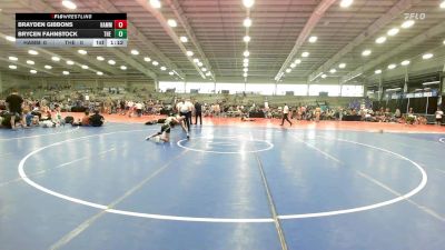 106 lbs Rr Rnd 2 - Brayden Gibbons, Hammer Wrestling Club vs Brycen Fahnstock, The Tribe