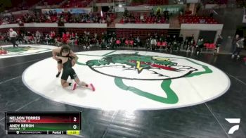 113 lbs Semis (4 Team) - Nelson Torres, Katy Paetow vs Andy Bergh, Prosper