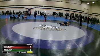 191 lbs Round 2 - Mia Delgado, Siena Heights vs Angie Guy, Augustana (IL)