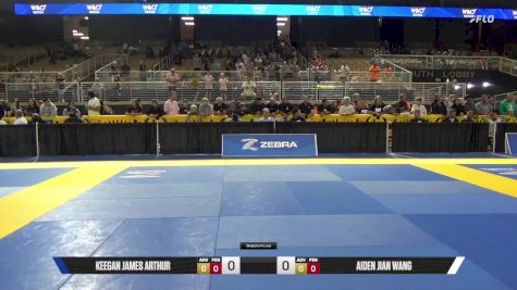 Aiden Jian Wang vs Keegan James Arthur 2025 Pan Kids Jiu-Jitsu IBJJF Championship