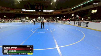 104 lbs Round 3 - Trisha Martinez, Blue Devils vs Brylee Young, Payson Wrestling