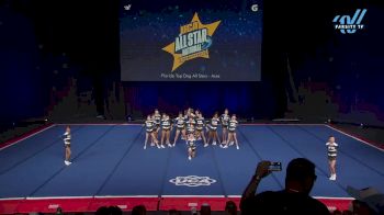 Florida Top Dog All Stars - Aces [2025 L2 Youth - Small Day 2] 2025 UCA & UDA All Star National Championship
