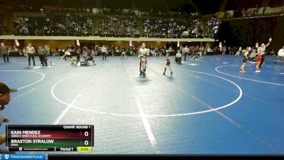 49 lbs Quarterfinal - Kain Mendez, Sebolt Wrestling Academy vs Braxton Stralow, Iowa