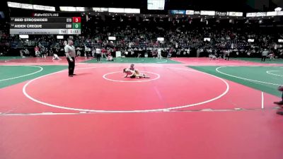 110 lbs Champ. Round 1 - Reid Strosnider, STOA vs Aiden Creque, SRW2