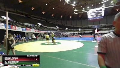 120 lbs Champ Round 1 (16 Team) - Dennis Pasco, Princess Anne vs Eli Gabrielson, South Carroll