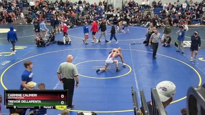 131 lbs 1st Place Match - Carmine Calimeri, Southwestern vs Trevor DellaPenta, Eden