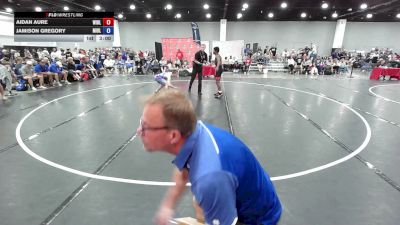 138 lbs Aidan Aure, Wisconsin Blue vs Jamison Gregory, Team Michigan Blue