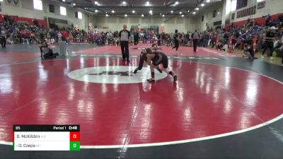 85 lbs Quarterfinal - Owen Czepa, New Prague vs Grahm McKibbin, Alexandria