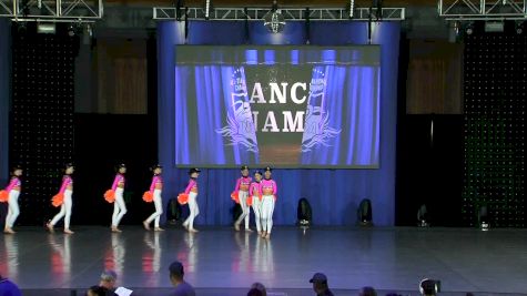 Dance Dynamics [2019 Youth Large Pom Day 1] NDA All-Star National Championship