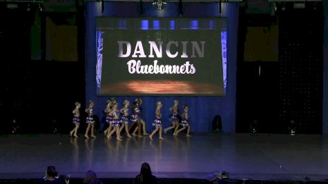 Dancin Bluebonnets [2019 Mini Prep Jazz Day 2] NDA All-Star National Championship