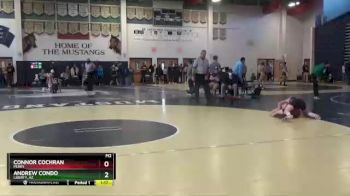 120 lbs Semifinal - Connor Cochran, Perry vs Andrew Condo, Liberty_AZ