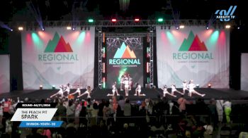 The Peach Pit - SPARK [2024 L1 Youth - D2 04/21/2024] 2024 The Southeast Regional Summit