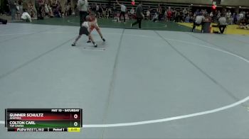 60 lbs Quarterfinal - Colton Carl, Top Dawgs vs Gunner Schultz, Aviators