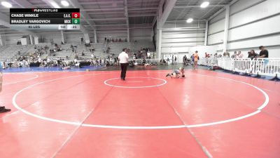 95 lbs Rr Rnd 3 - Chase Winkle, Elite Athletic Club Gold vs Bradley Vargovich, Micky's Minions White